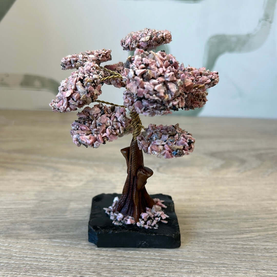Rhodonite Gem Tree with Black Onyx Base 4.75"