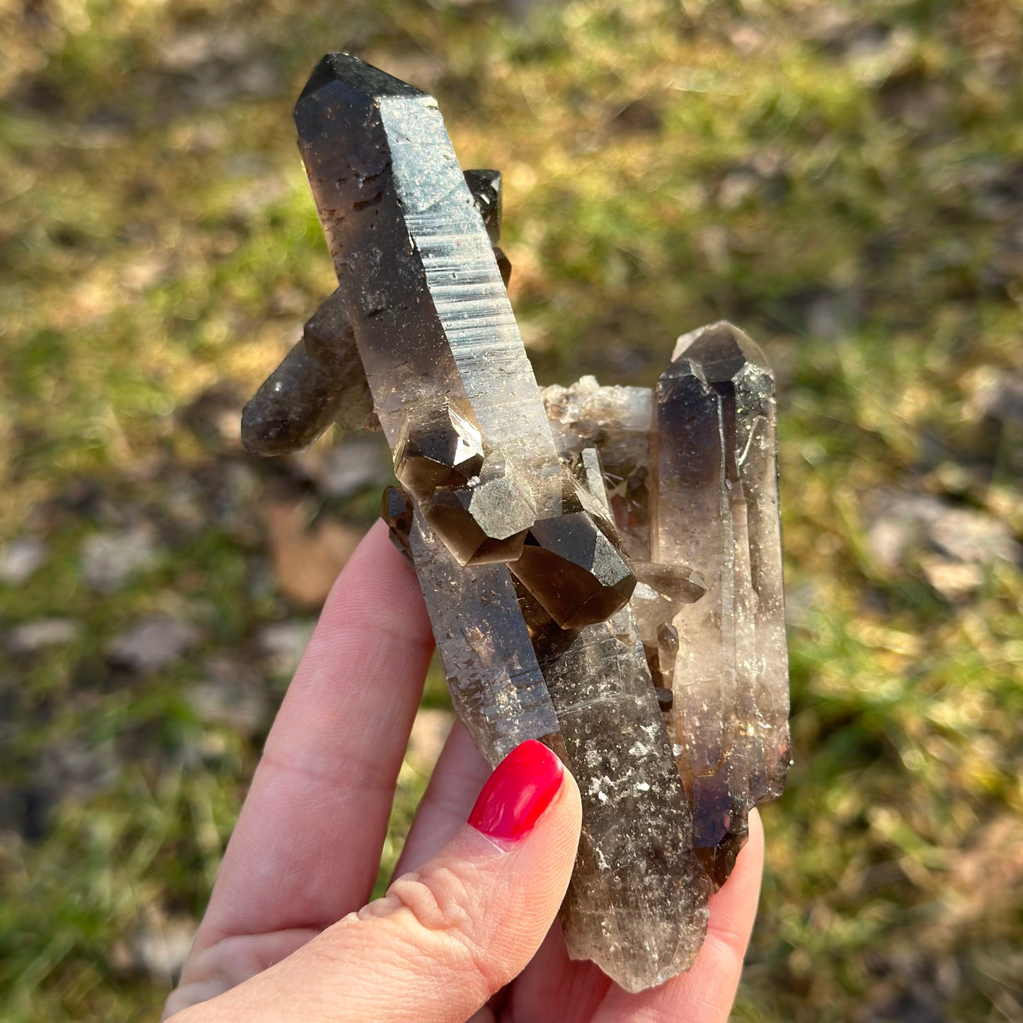 Smoky Quartz Cluster