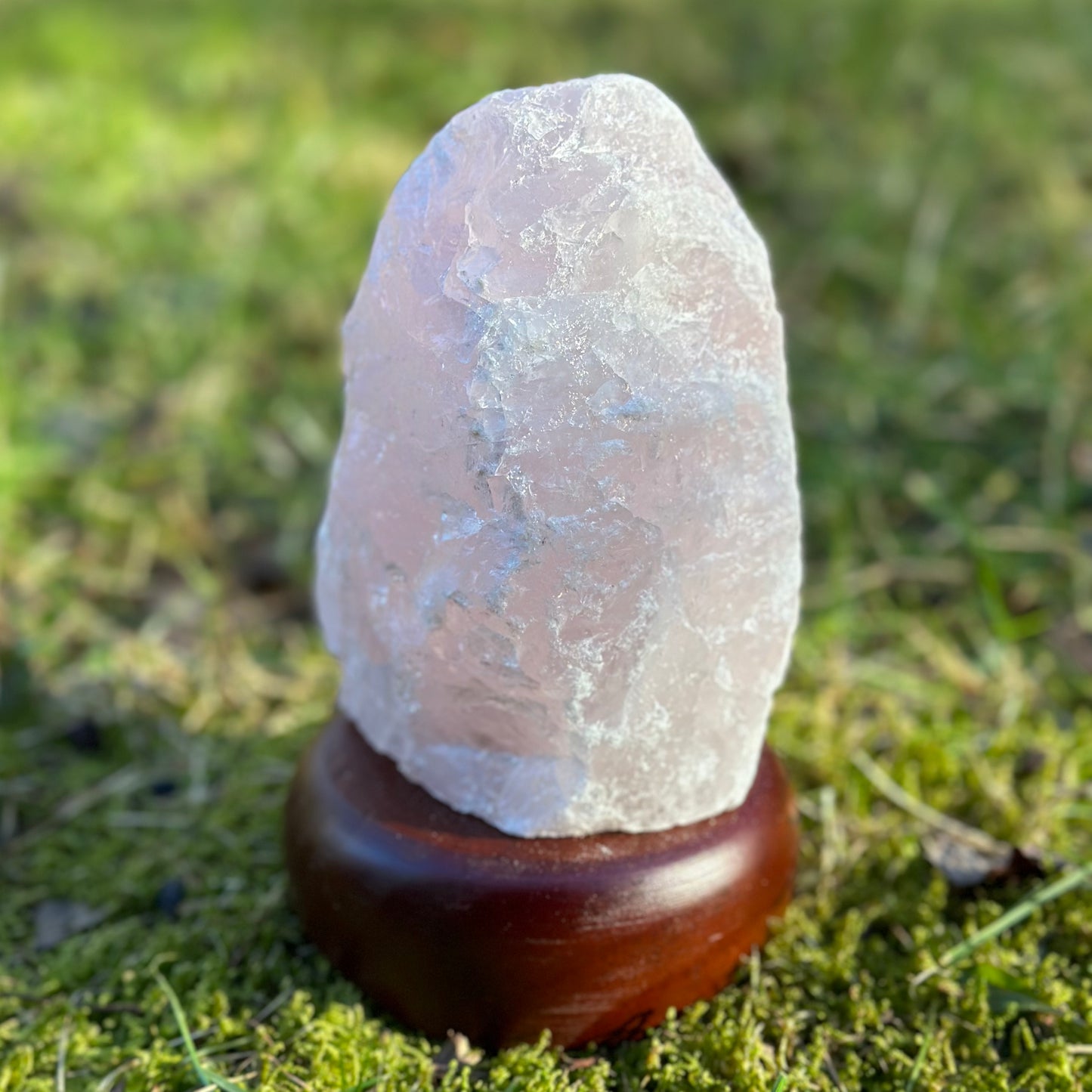Rose Quartz Natural Lamp on Wood Base