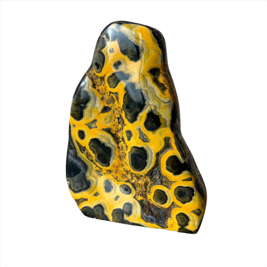 Bumble Bee Jasper Free Form