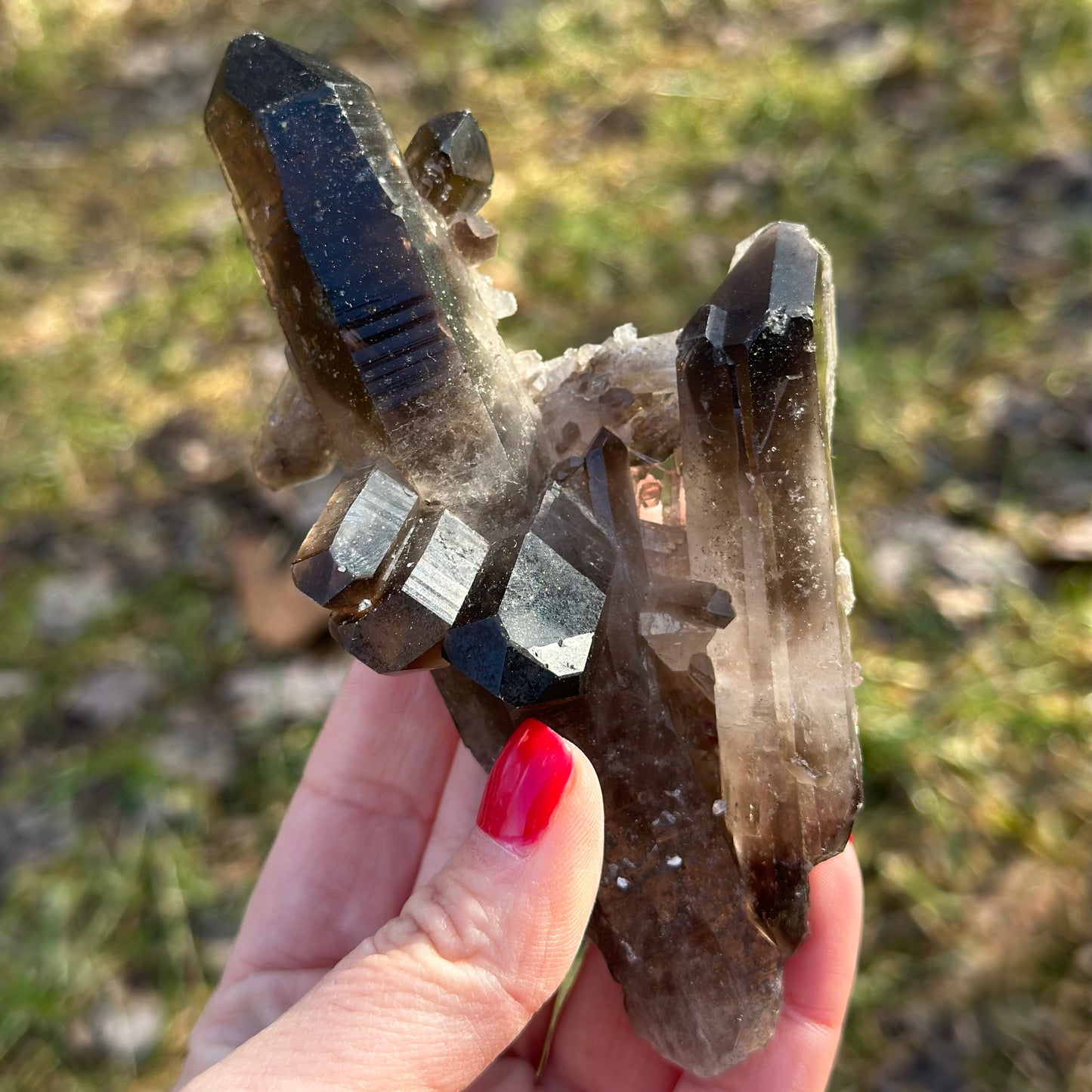 Smoky Quartz Cluster