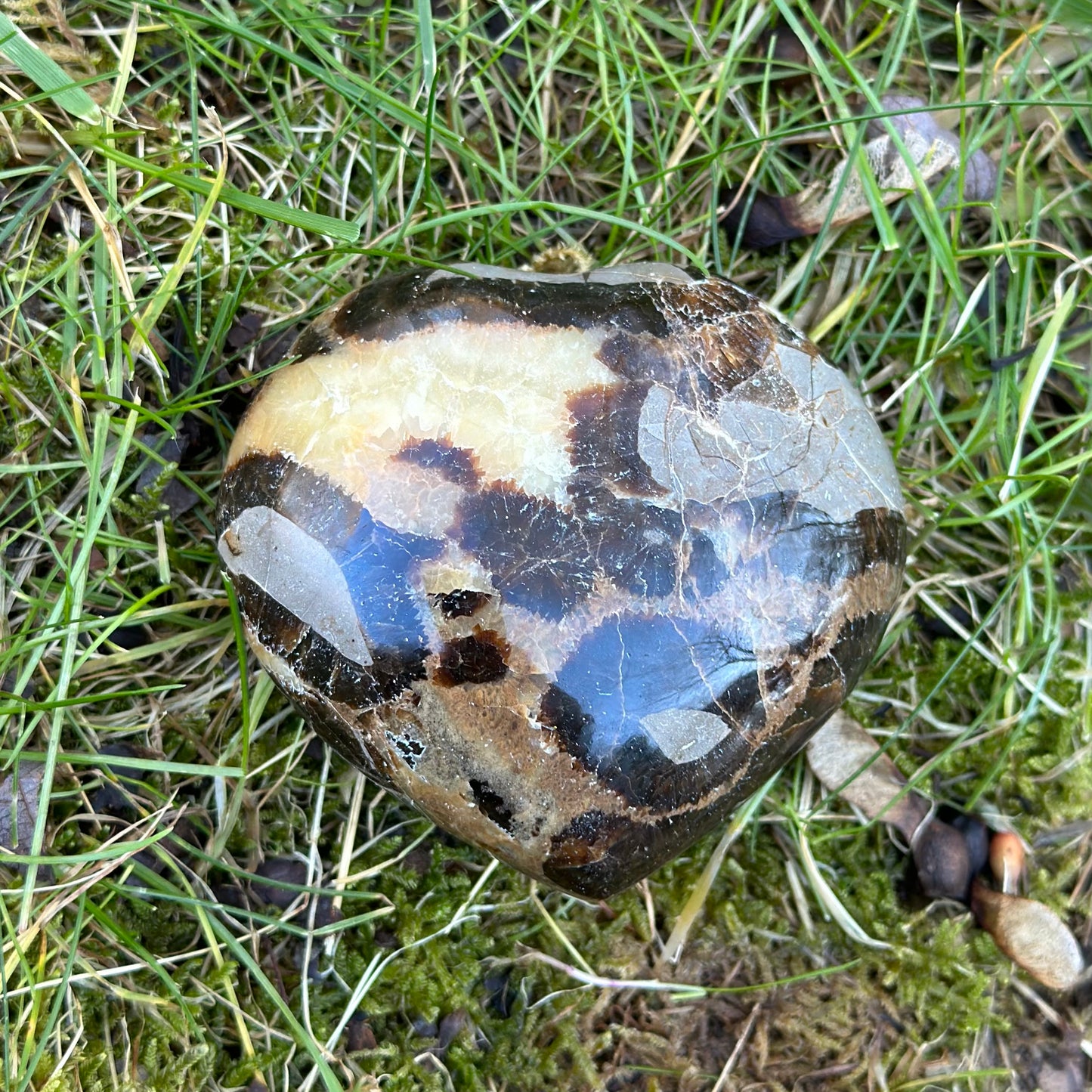 Septarian Heart 276g