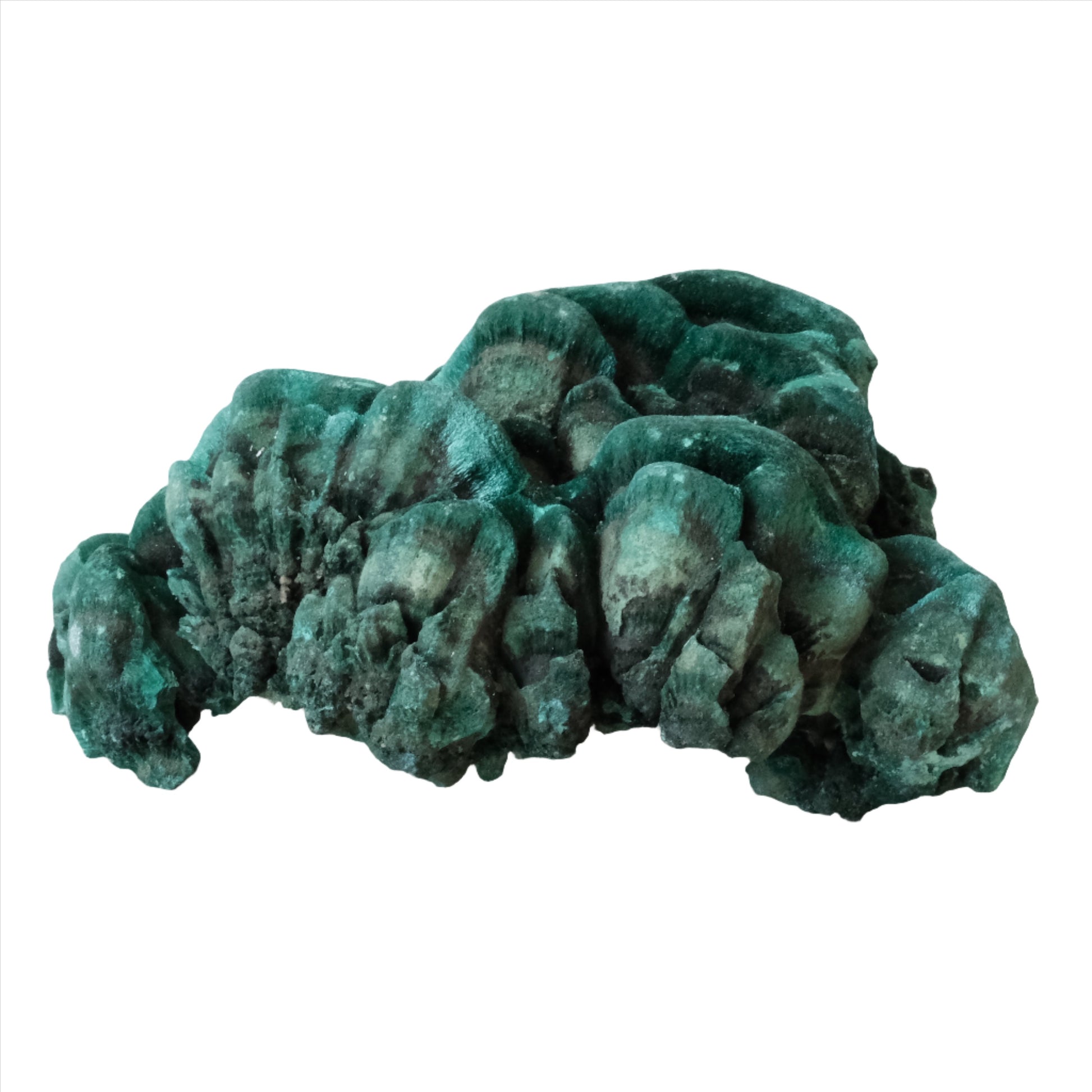 Raw 201g malachite stone in natural vibrant green, known for healing properties and detoxifying benefits.
