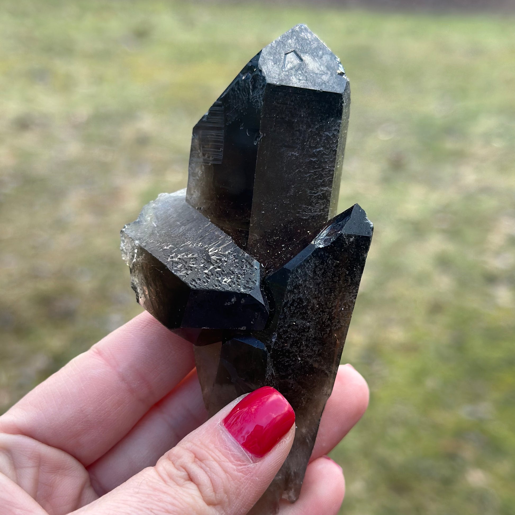 Smoky Quartz Point Cluster