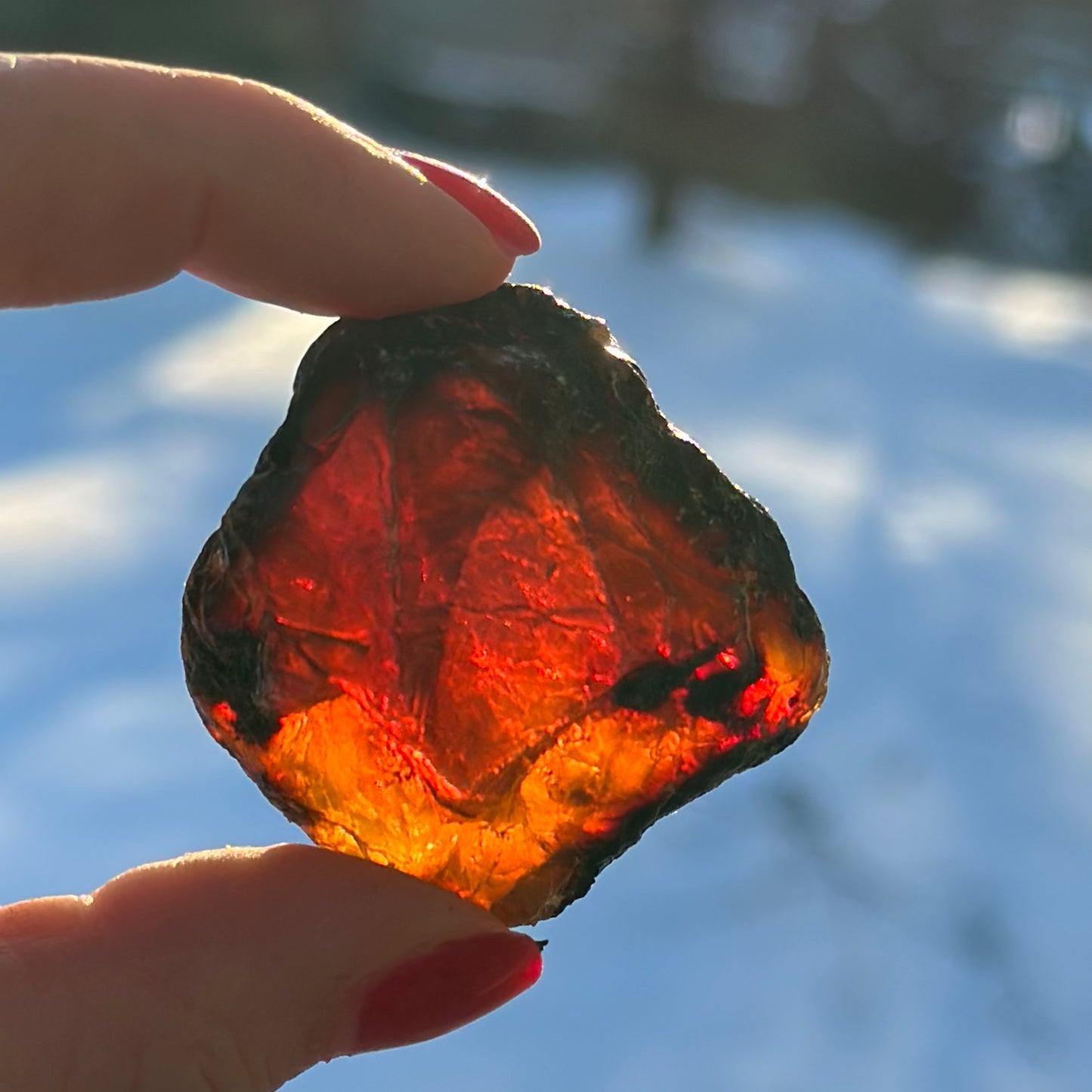 Amber Zebra Raw
