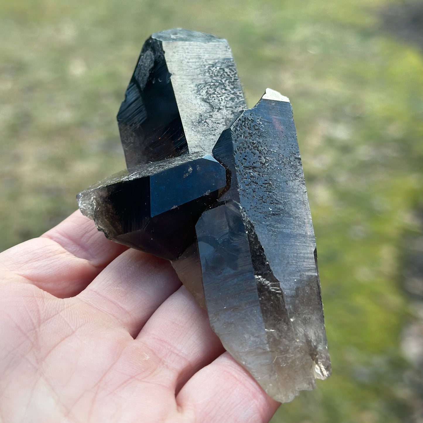 Smoky Quartz Point Cluster