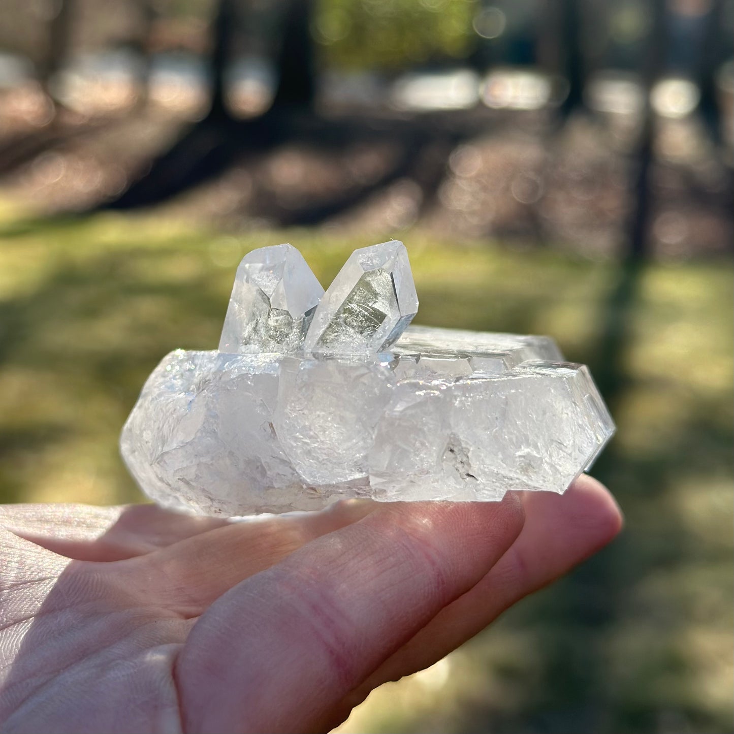 Clear Quartz Cluster 183g