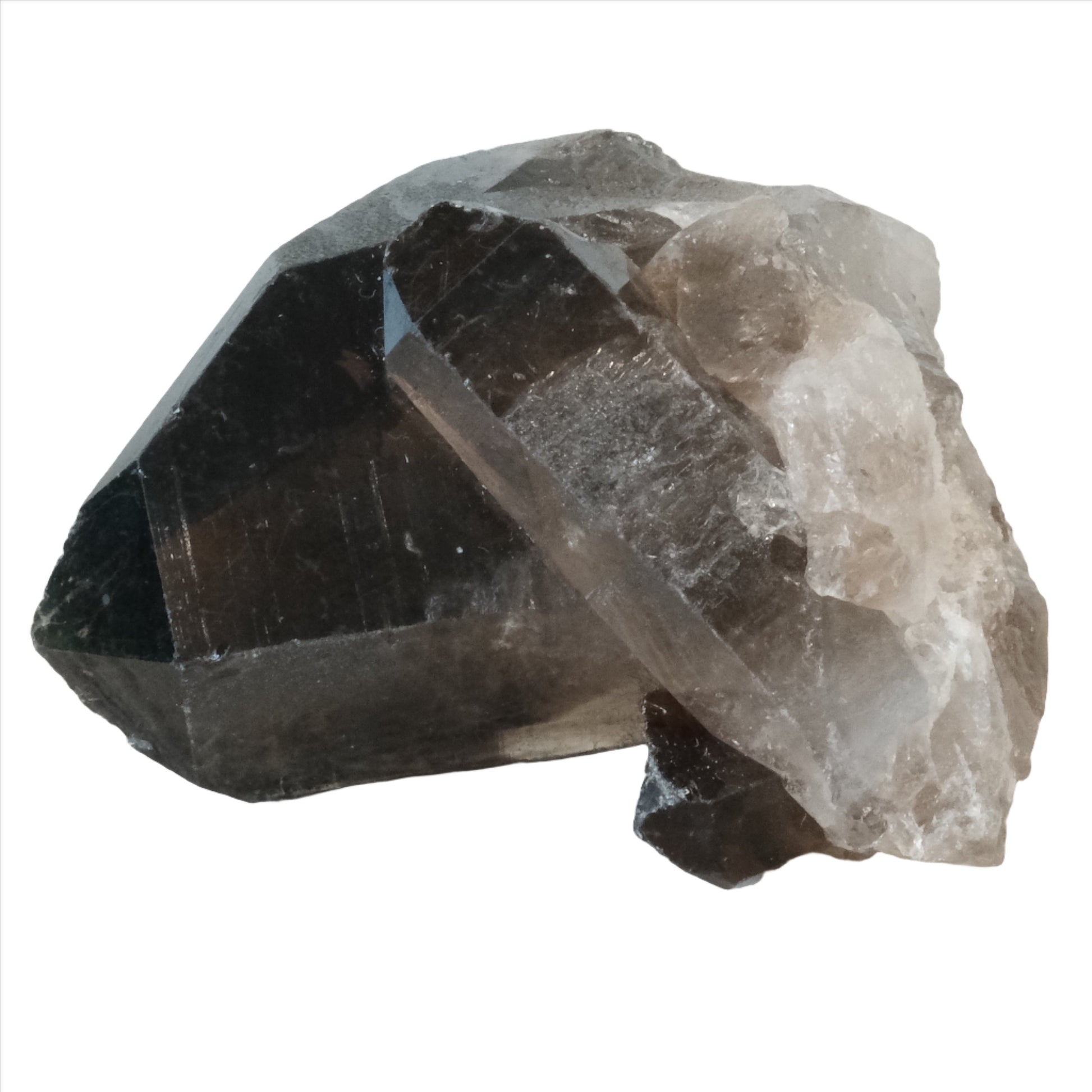 Smoky Quartz Point Cluster