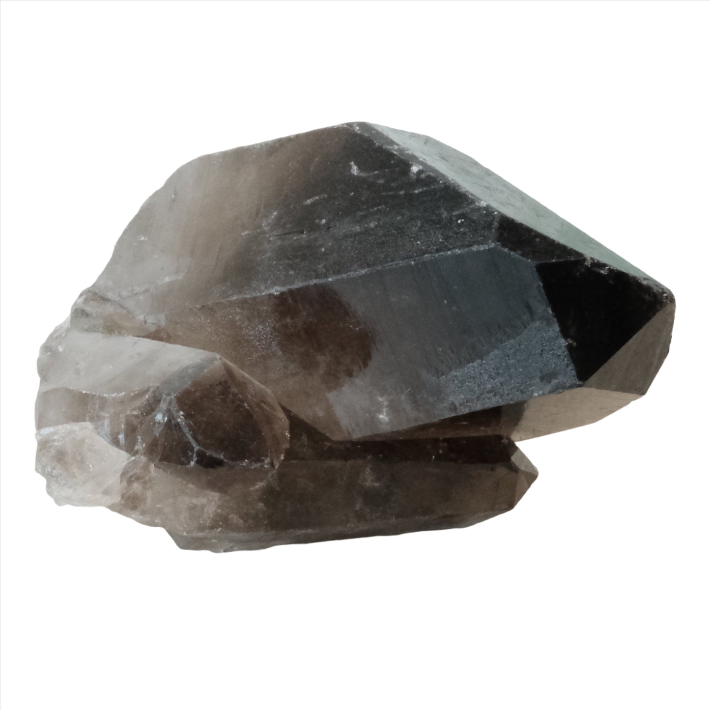 Smoky Quartz Point Cluster