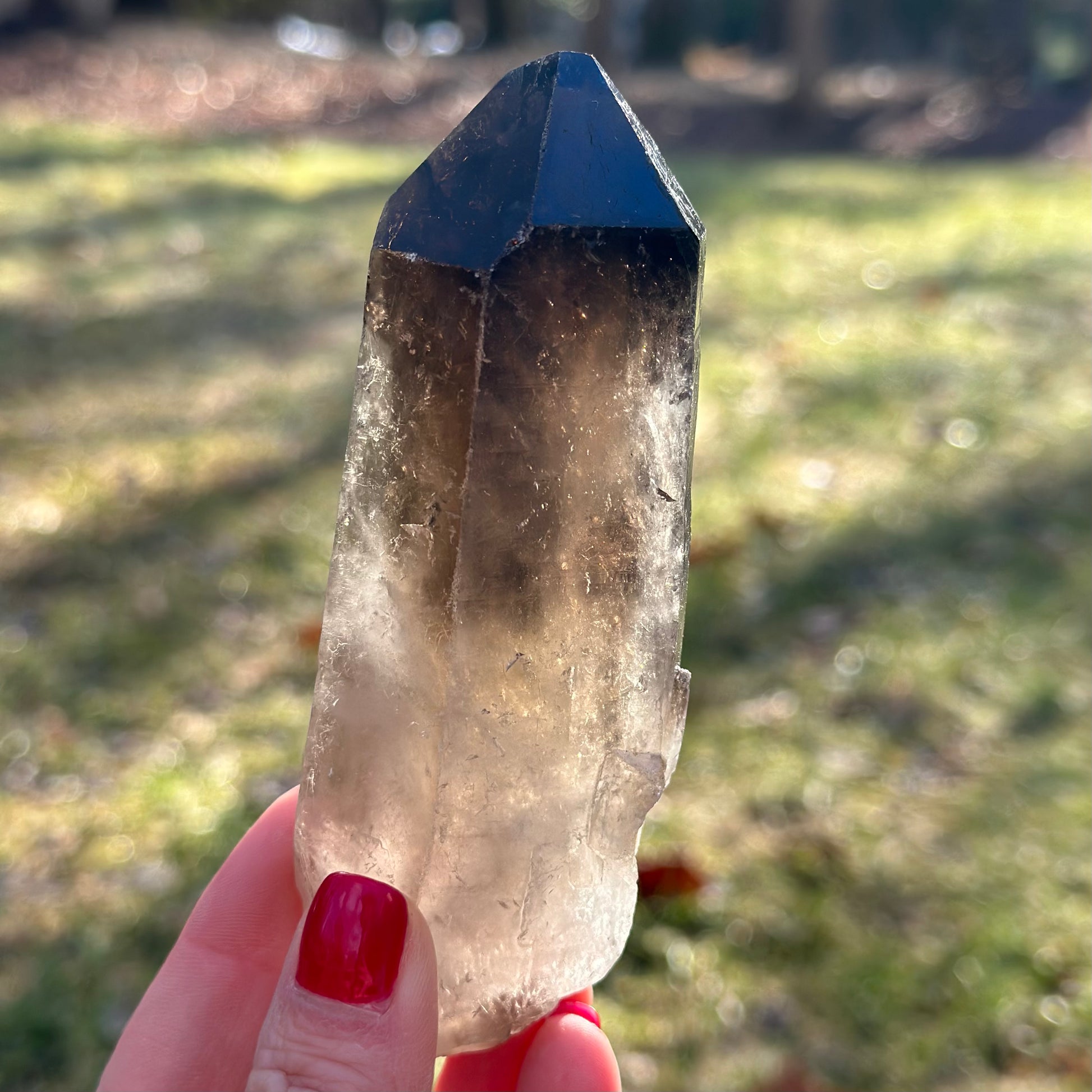 Smoky Quartz Point Cluster