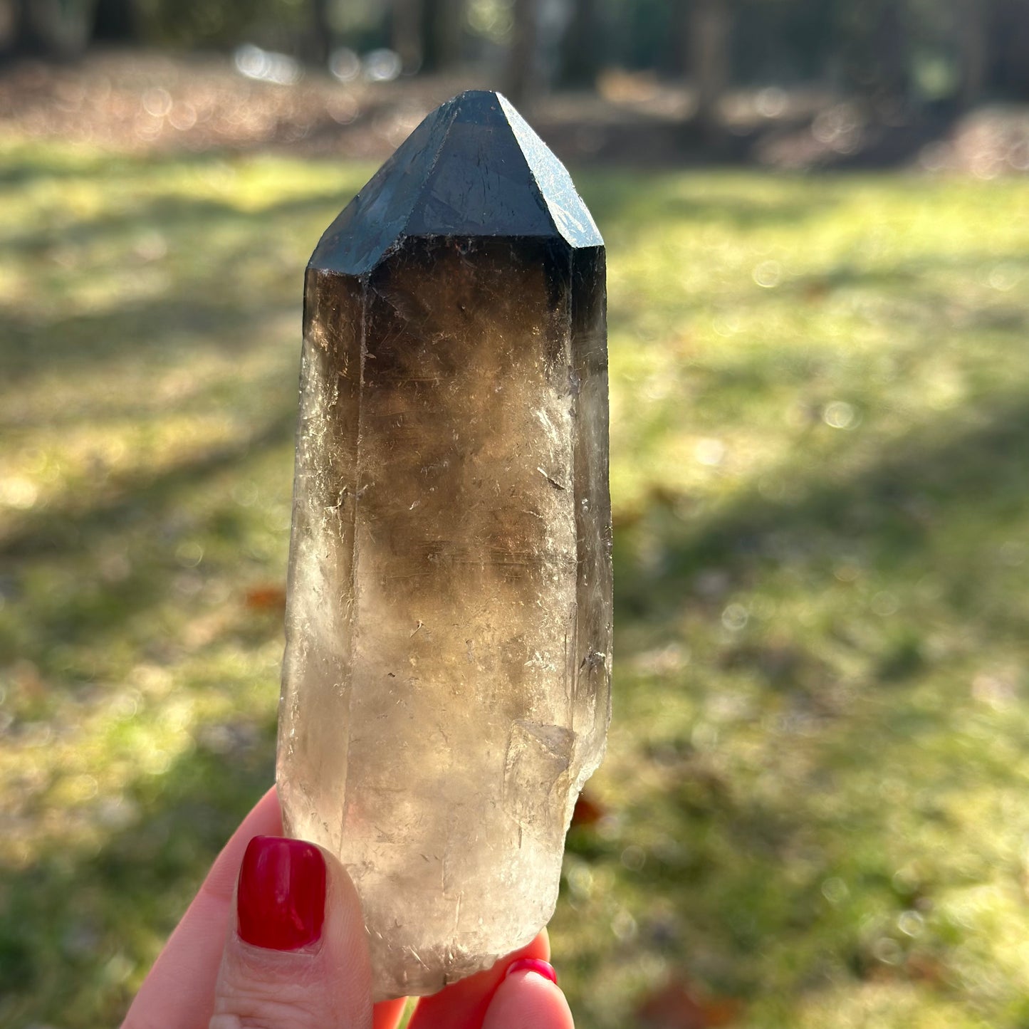 Smoky Quartz Point Cluster