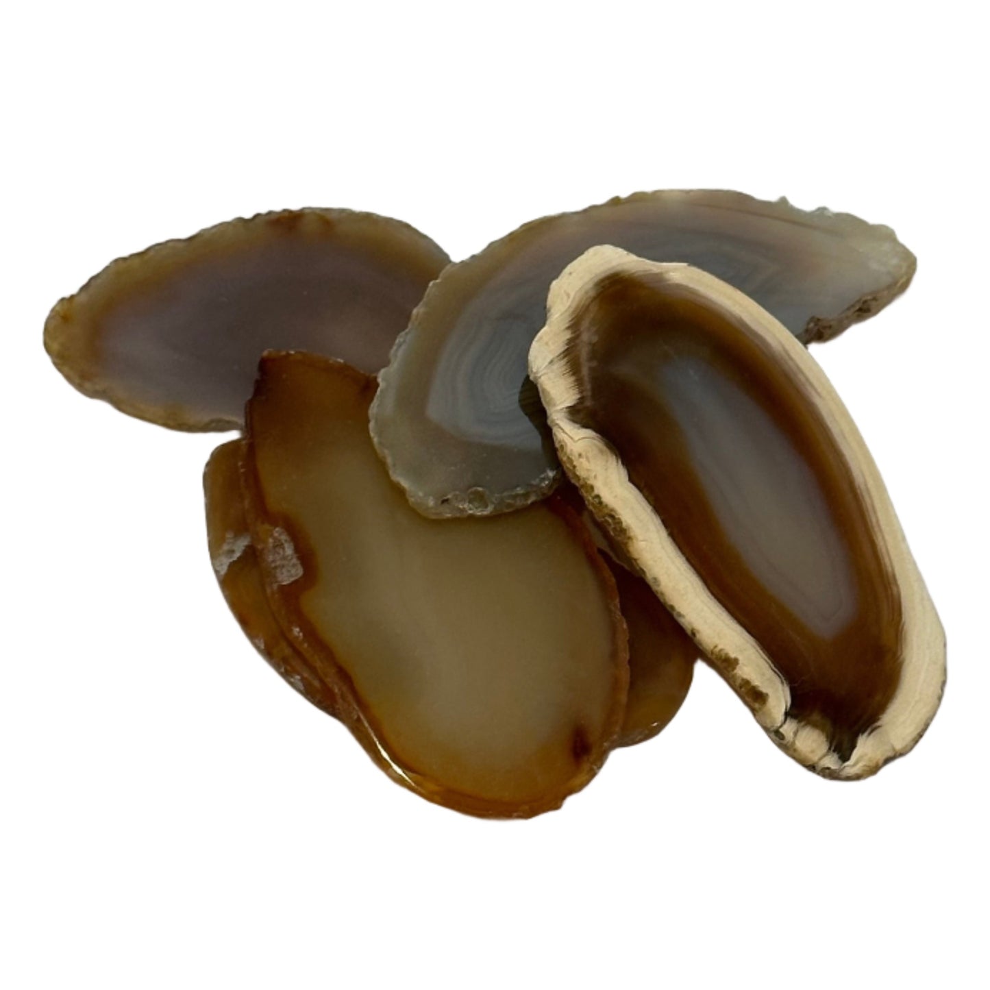 Natural agate slices 2-4 inches, brown tones, for rebalancing body, mind, spirit, cleansing aura, and healing purposes.