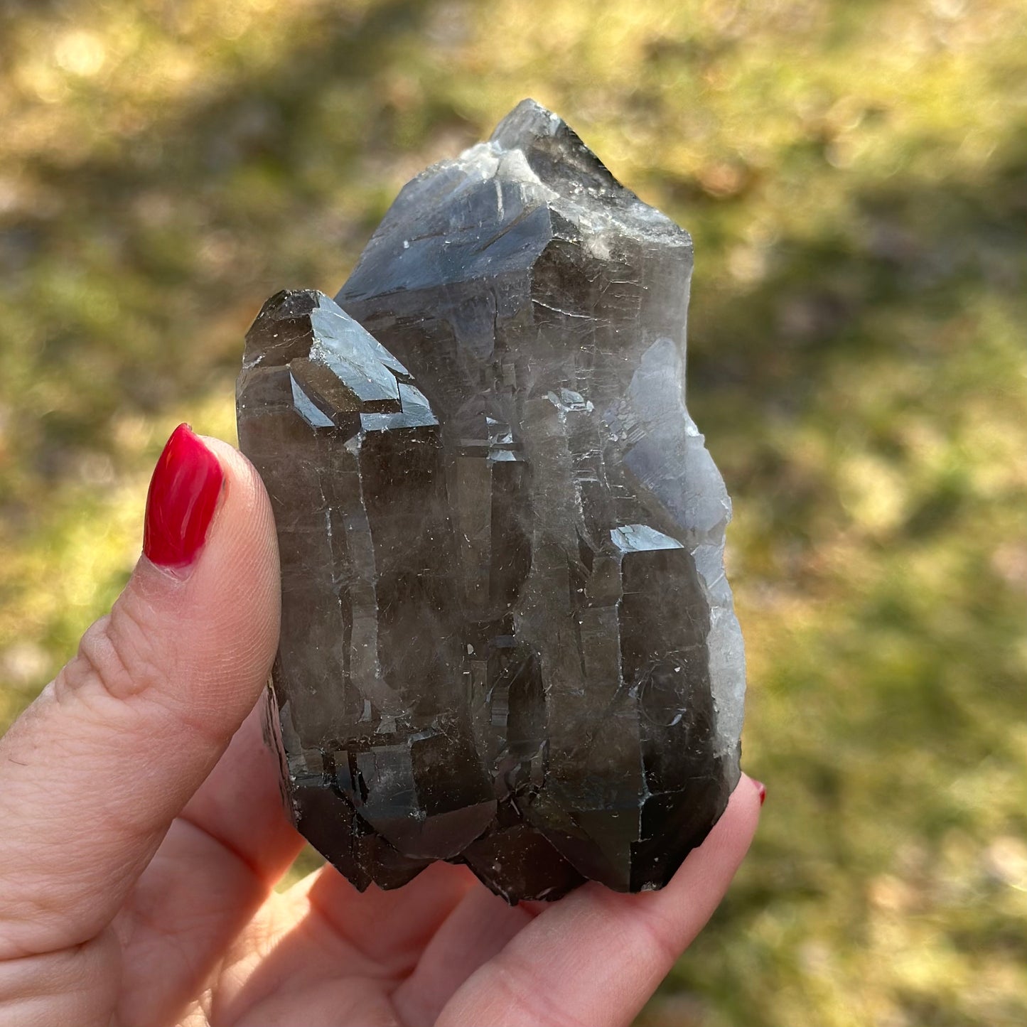 Smoky Quartz Point Cluster