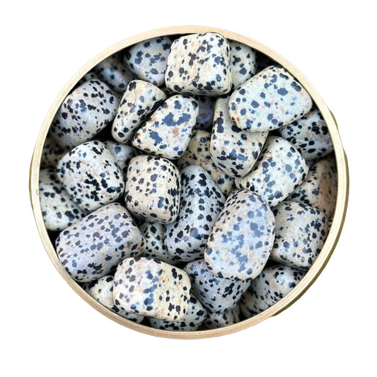 Dalmatian Jasper Tumbled Stone 10-20MM