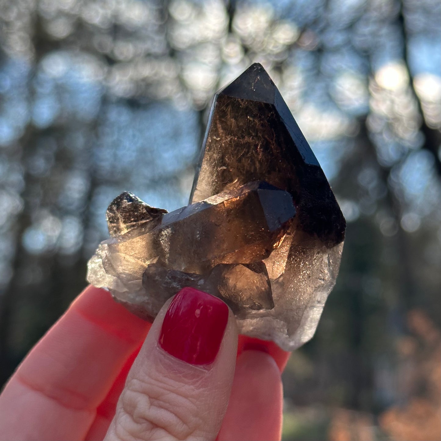 Smoky Quartz Point Cluster