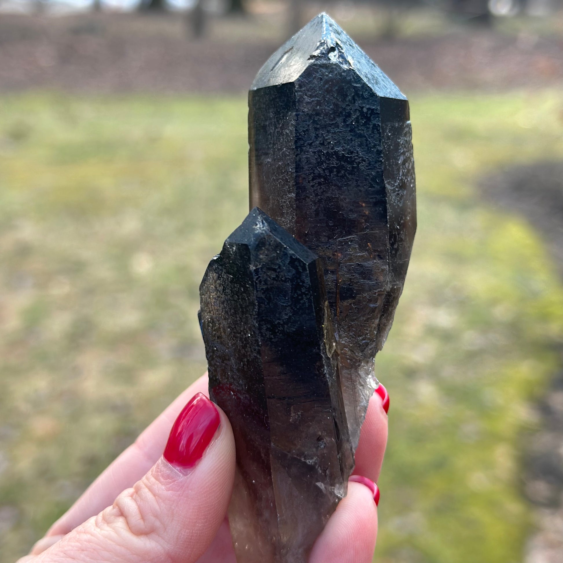 Smoky Quartz Point Cluster