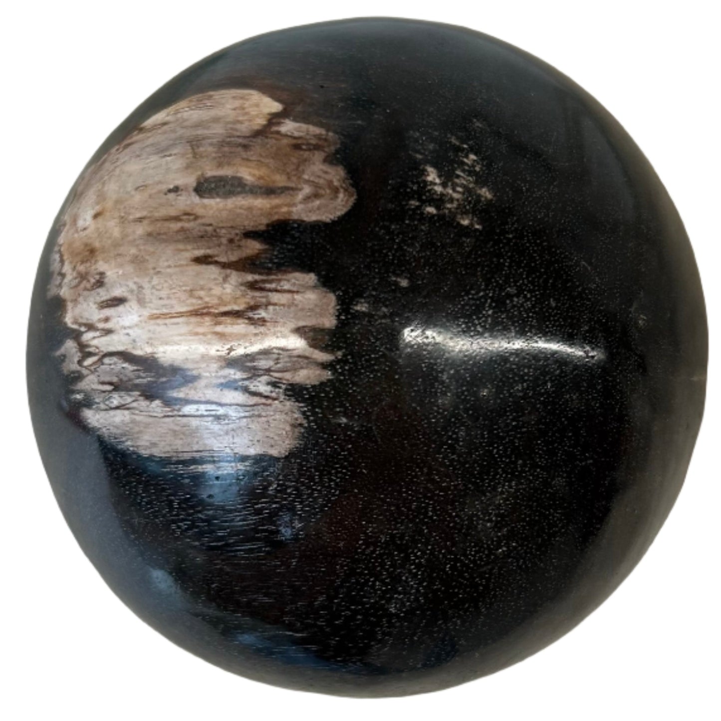 Petrified Wood Sphere 8cm
