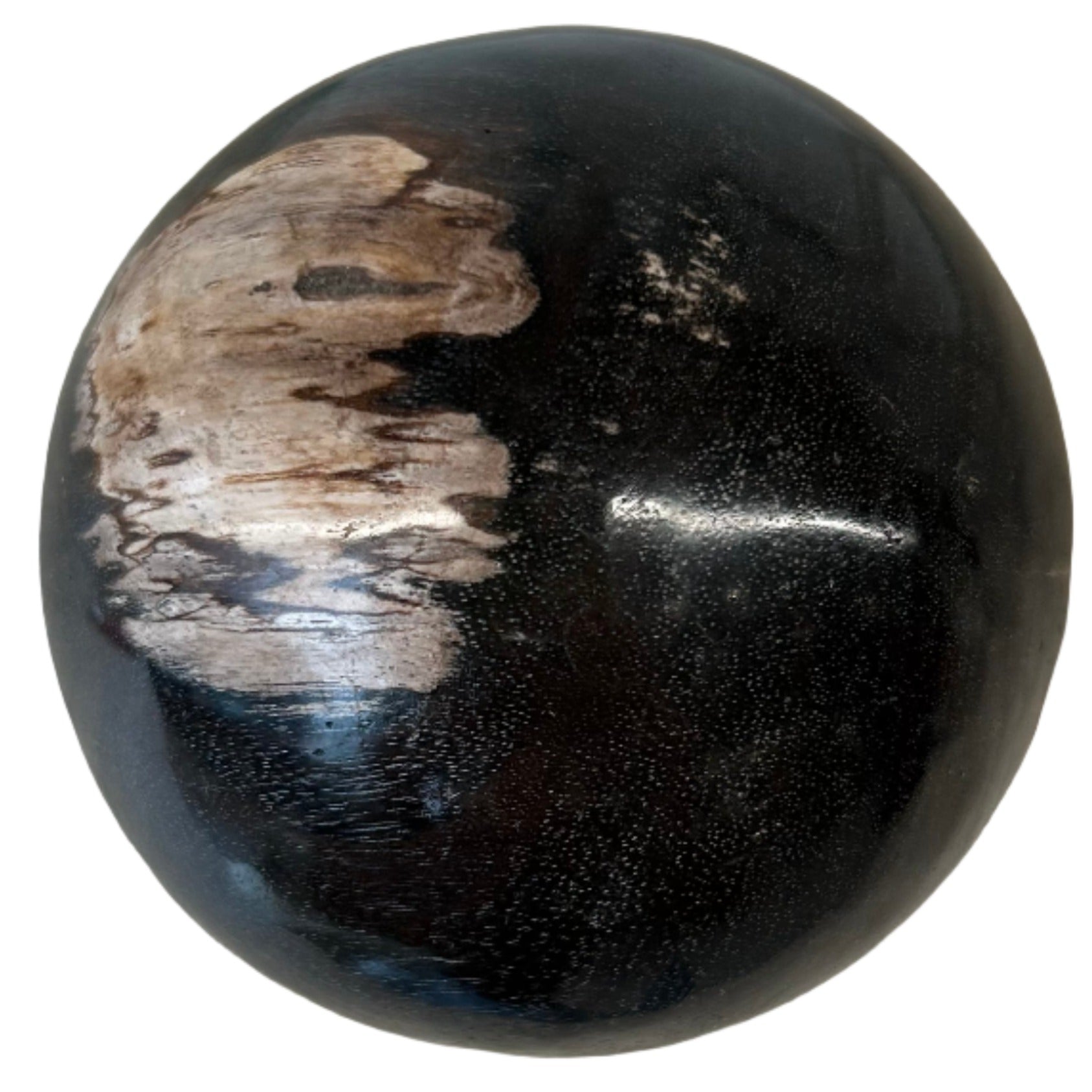 Petrified Wood Sphere 8cm