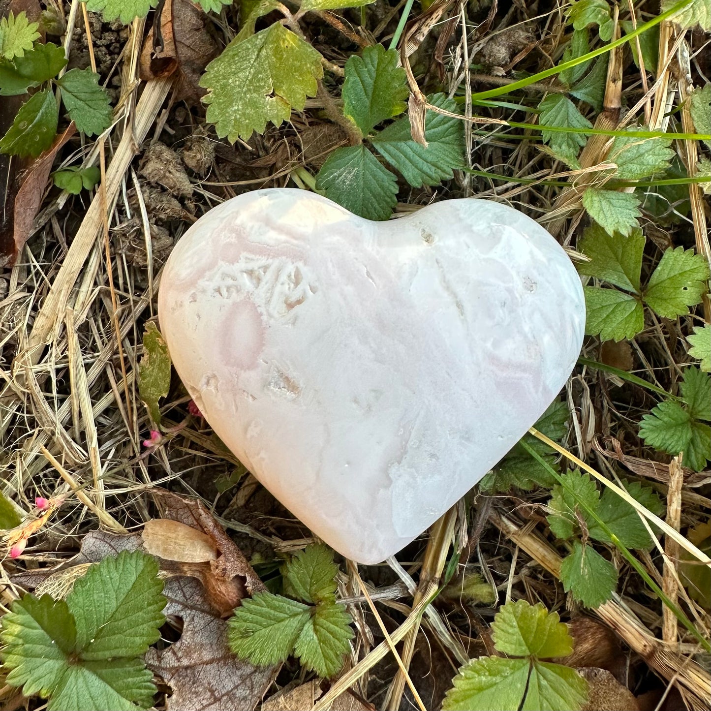 Heart-shaped Mangano Calcite, pink healing crystal on green foliage, symbolizing love and emotional strength.