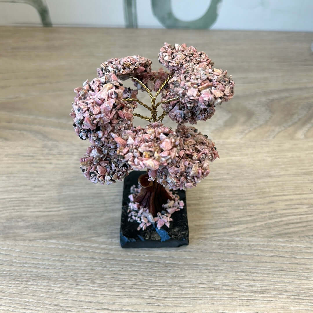 Rhodonite Gem Tree with Black Onyx Base 4.75"