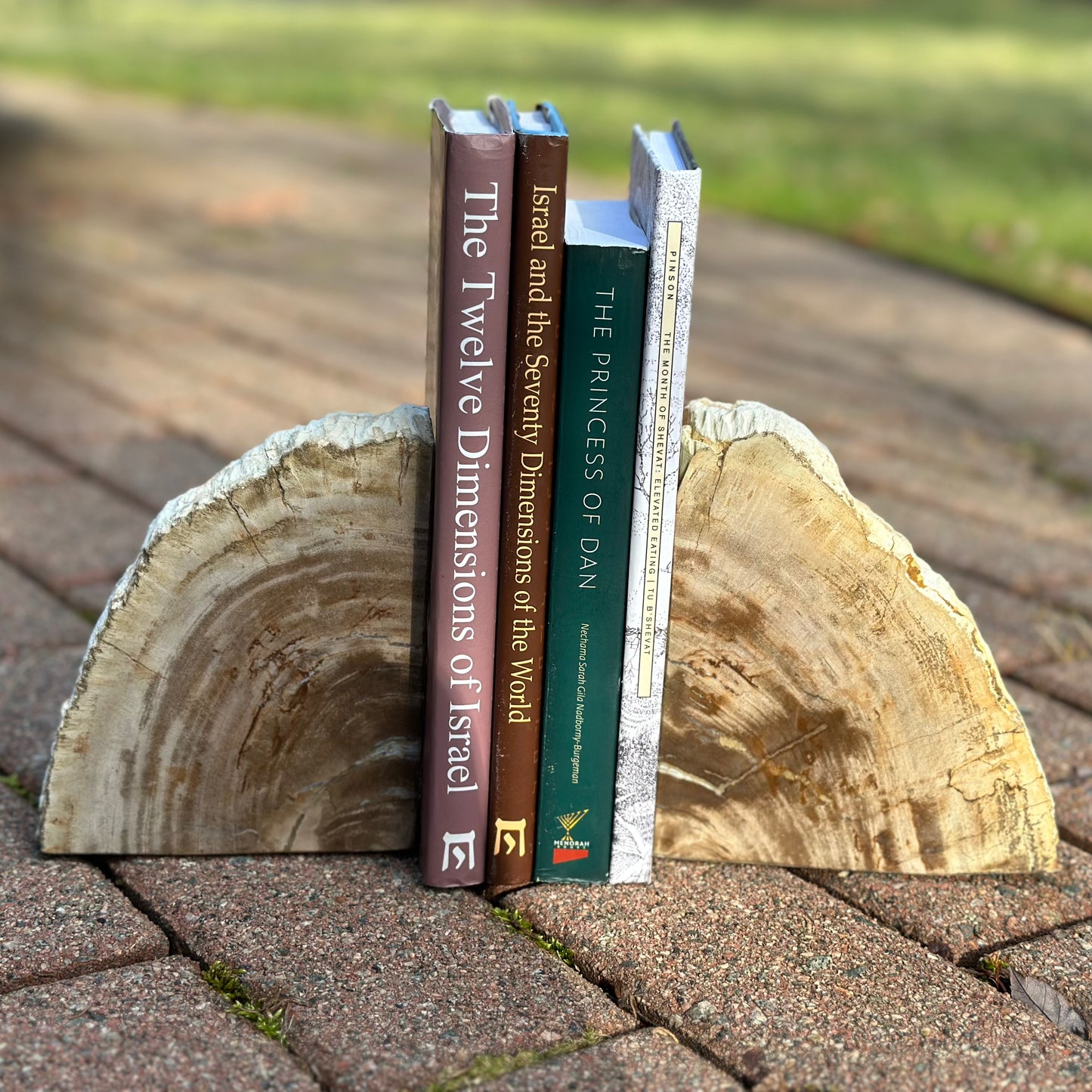 Petrified Wood Bookend - Large