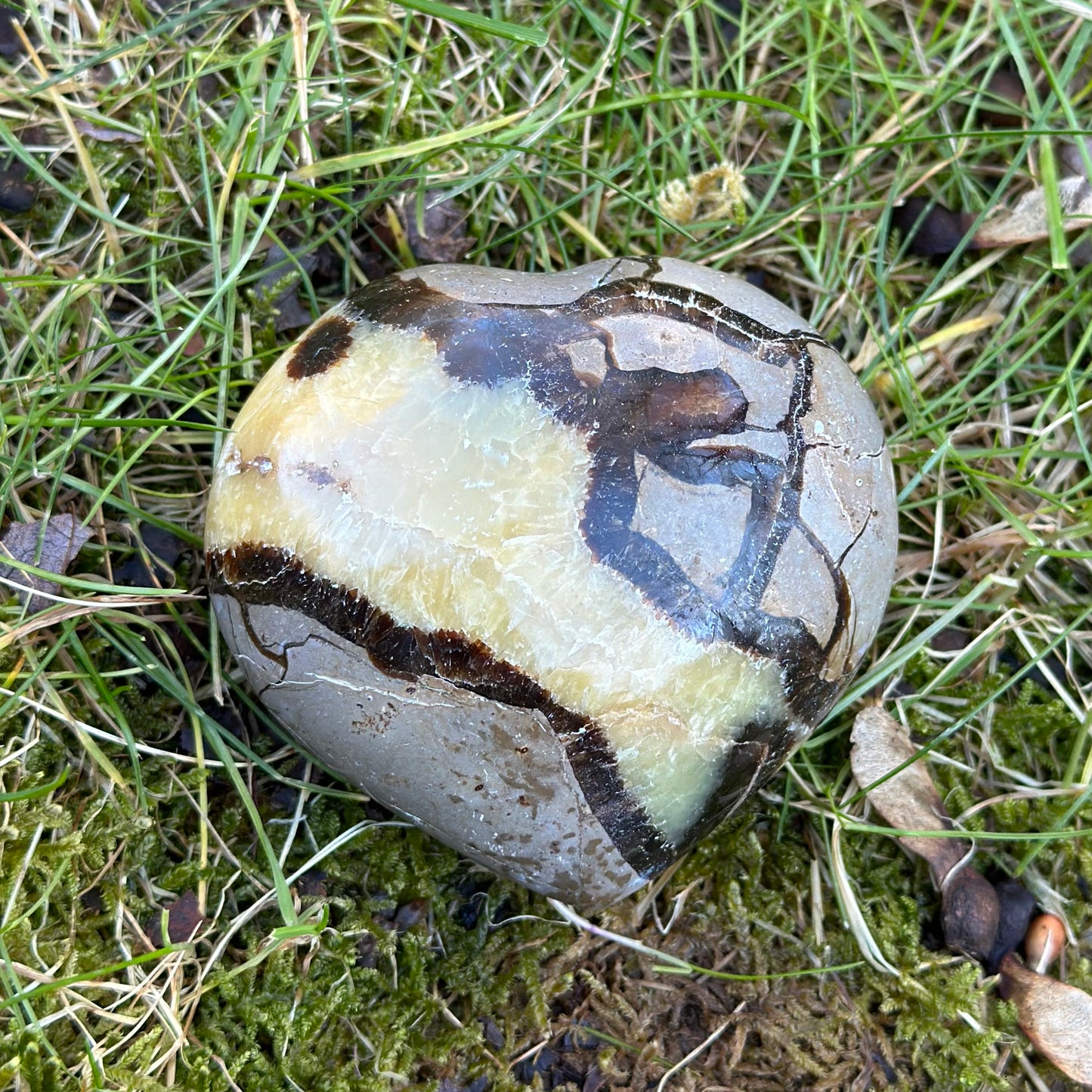 Septarian Heart 234g