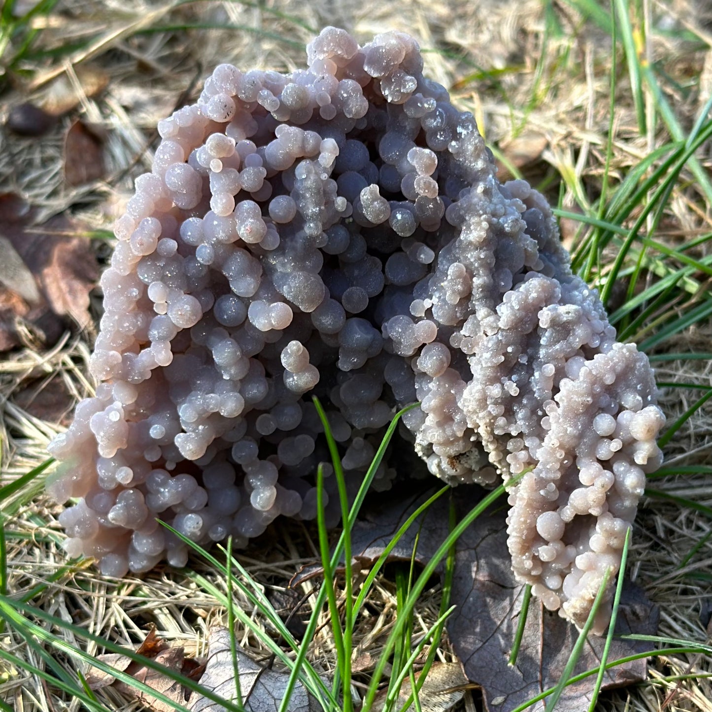 Grape Agate Free Form 168g