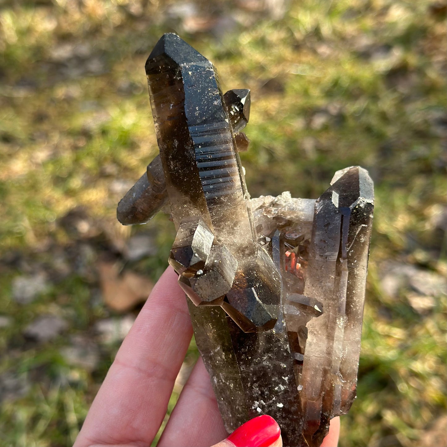 Smoky Quartz Cluster