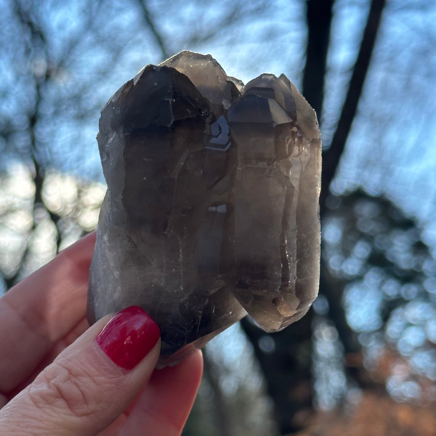 Smoky Quartz Point Cluster