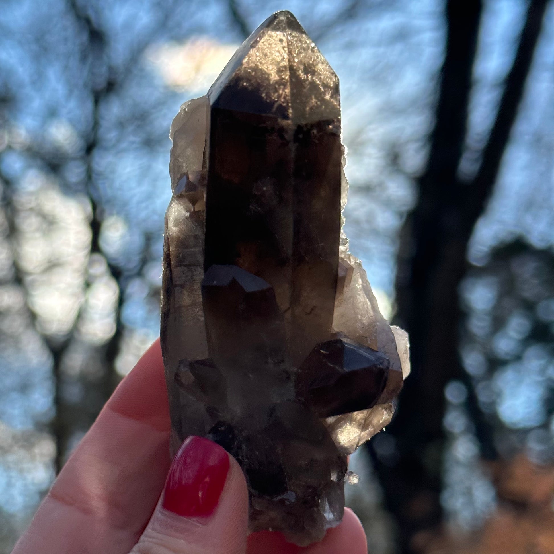 Smoky Quartz Point Cluster