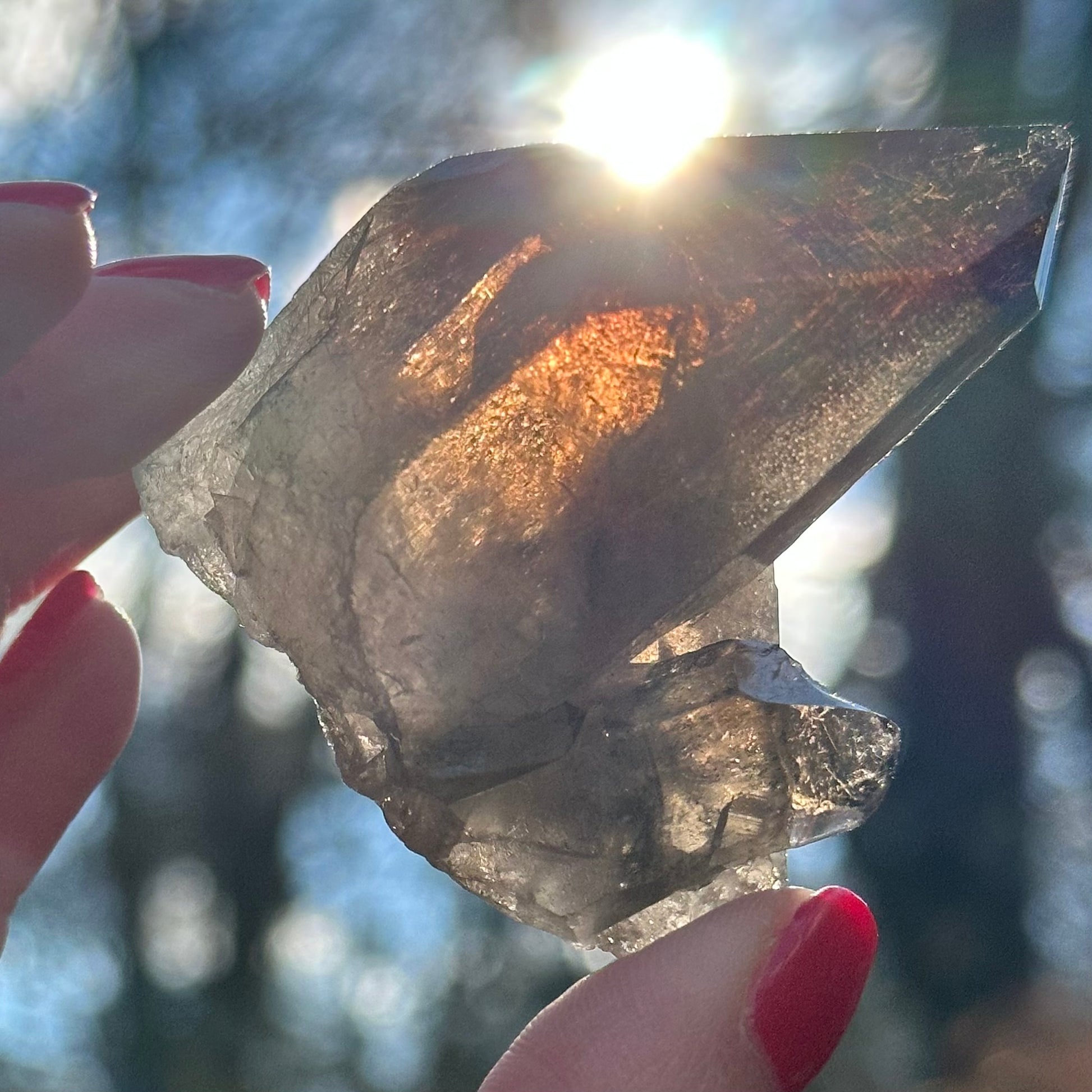 Smoky Quartz Point Cluster