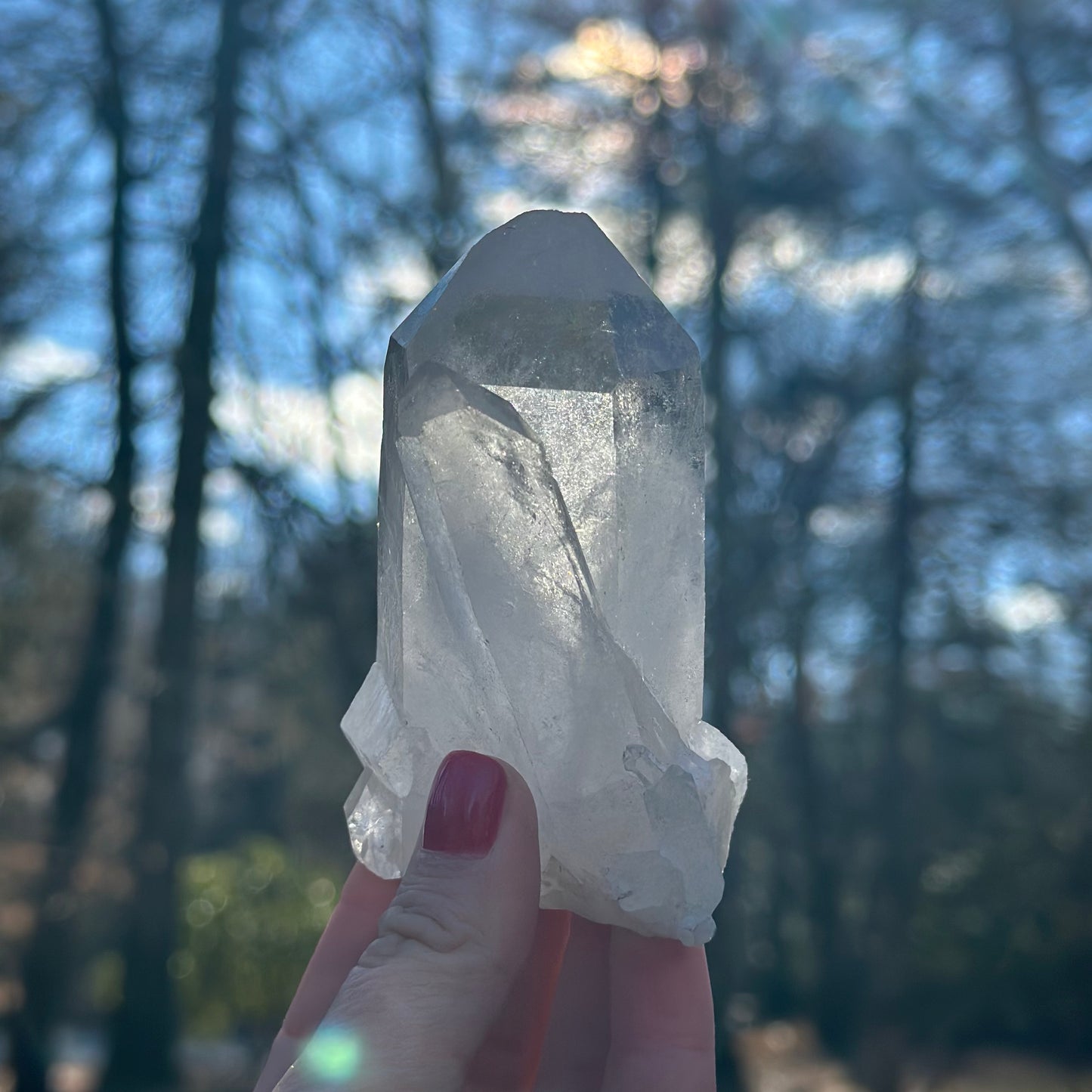 Clear Quartz Cluster 244g
