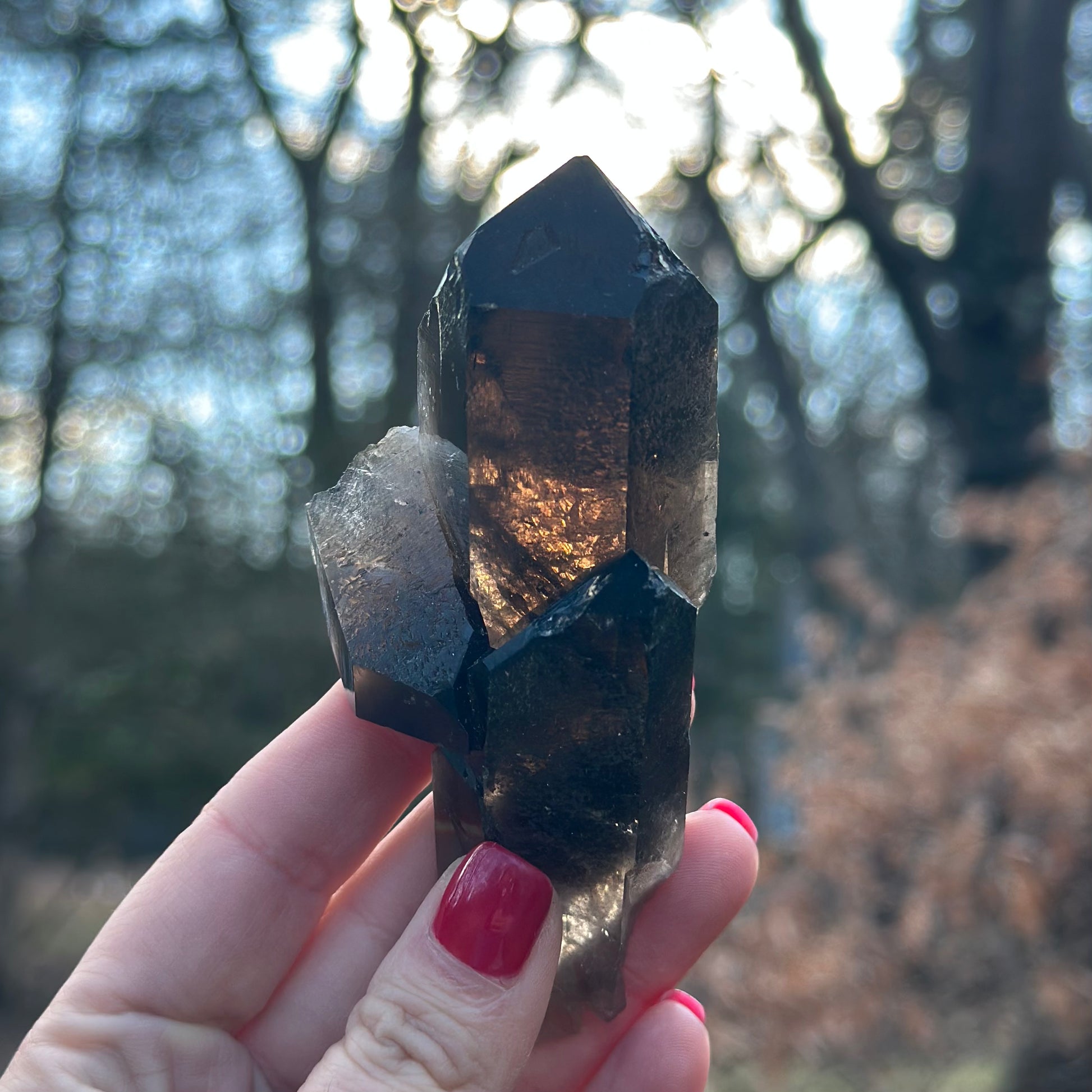 Smoky Quartz Point Cluster
