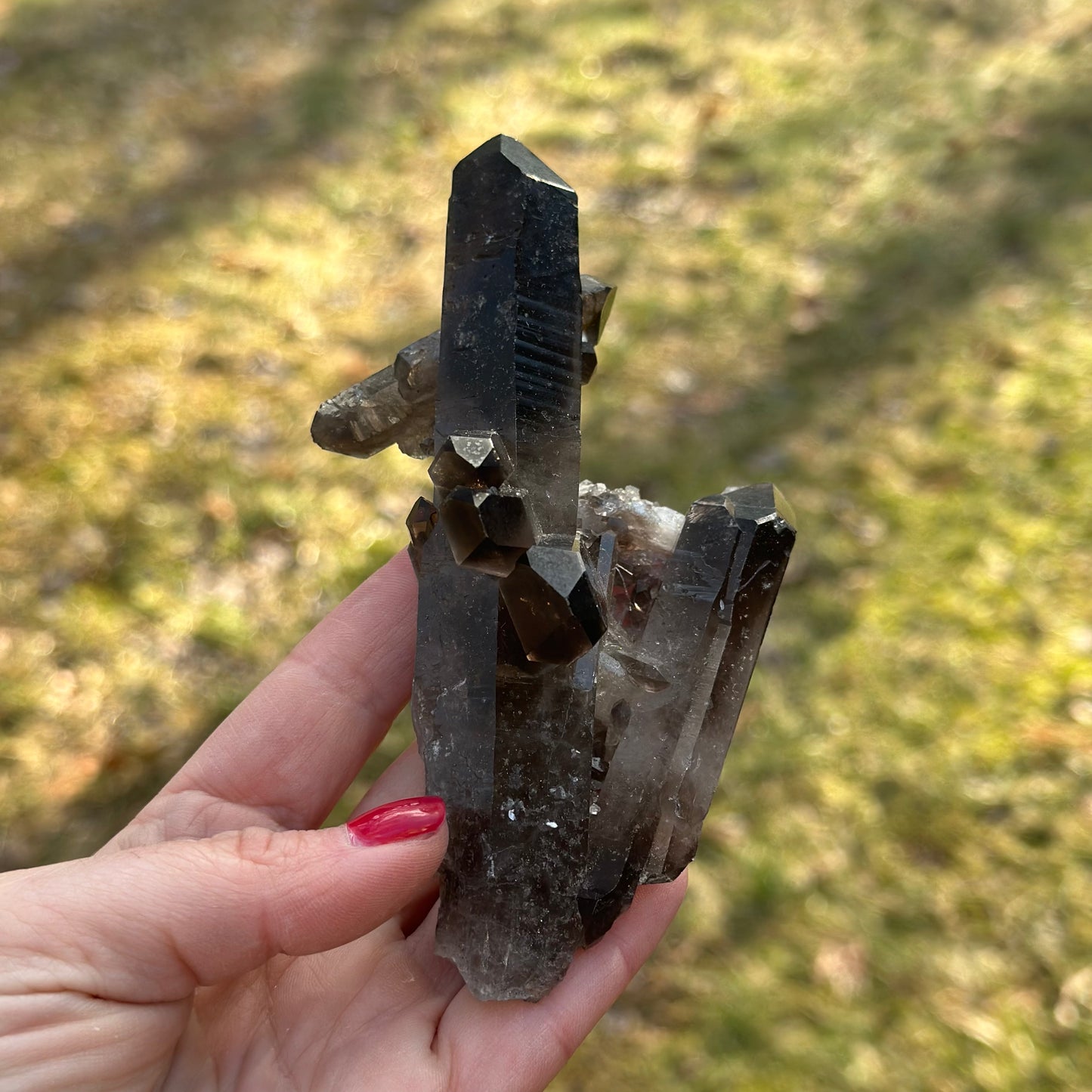 Smoky Quartz Cluster