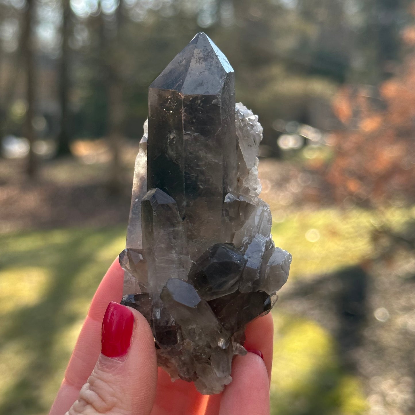 Smoky Quartz Point Cluster
