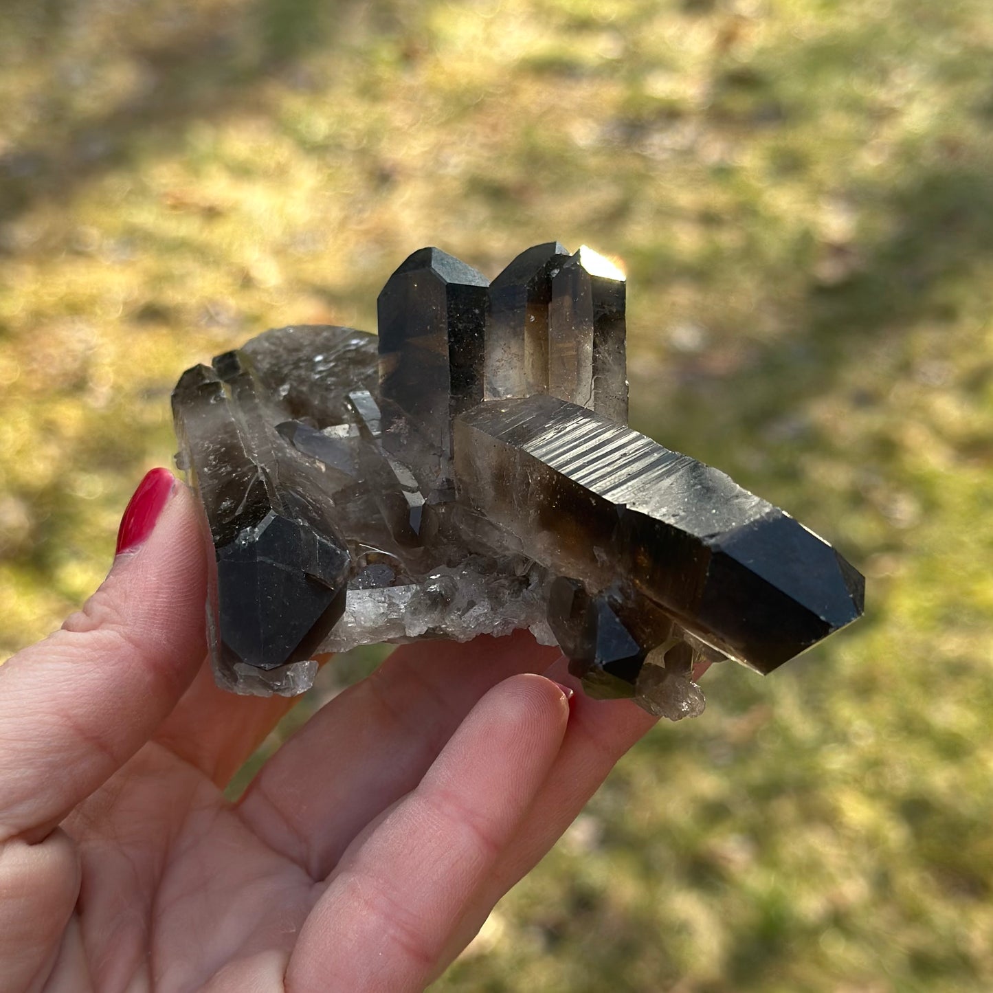 Smoky Quartz Cluster