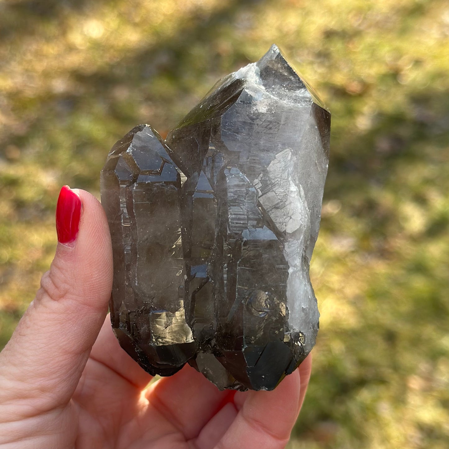 Smoky Quartz Point Cluster