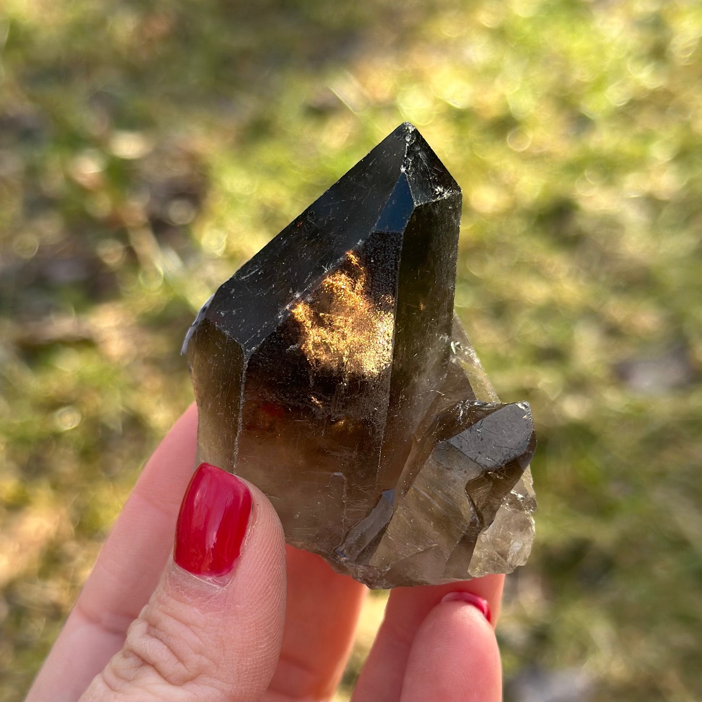 Smoky Quartz Point Cluster