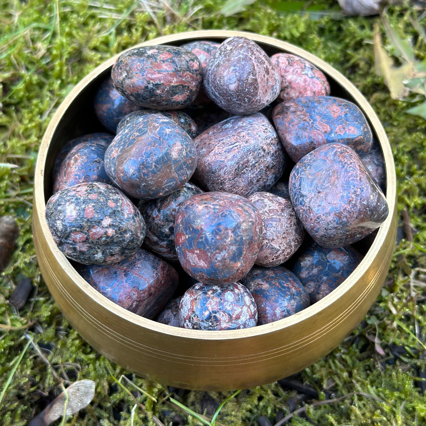 Leopard Skin Jasper Tumbled Stone