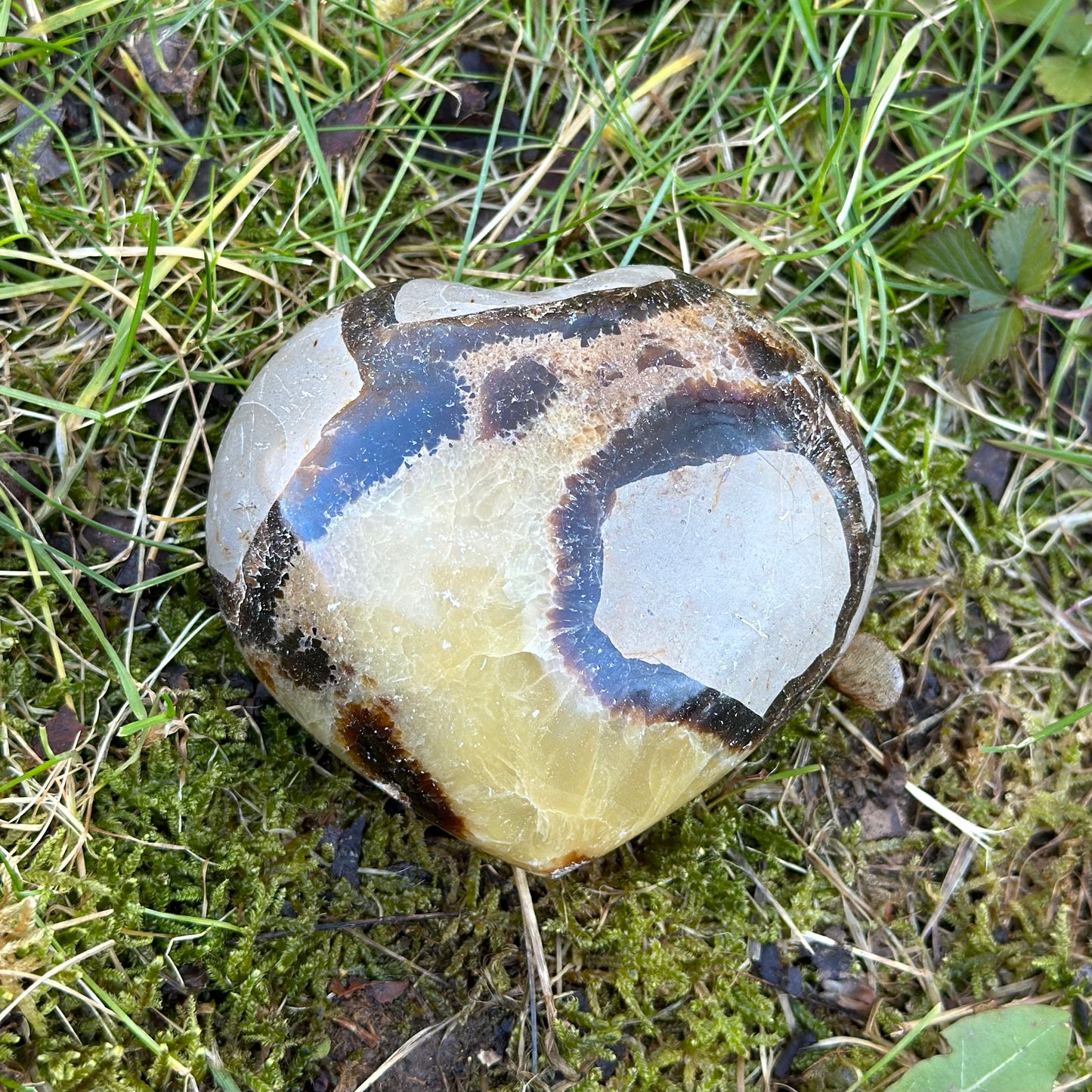 Septarian Heart 238g