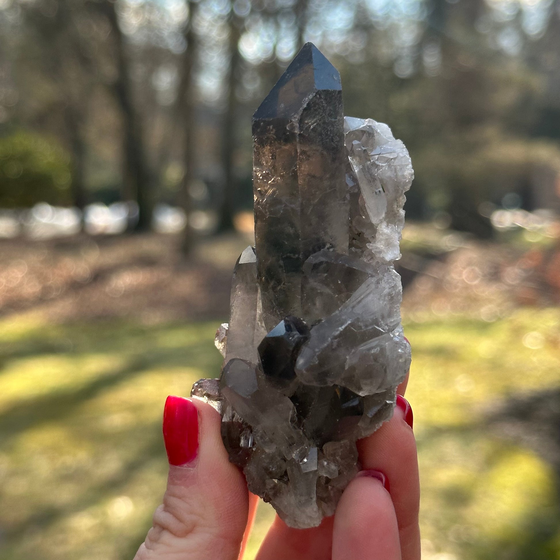 Smoky Quartz Point Cluster