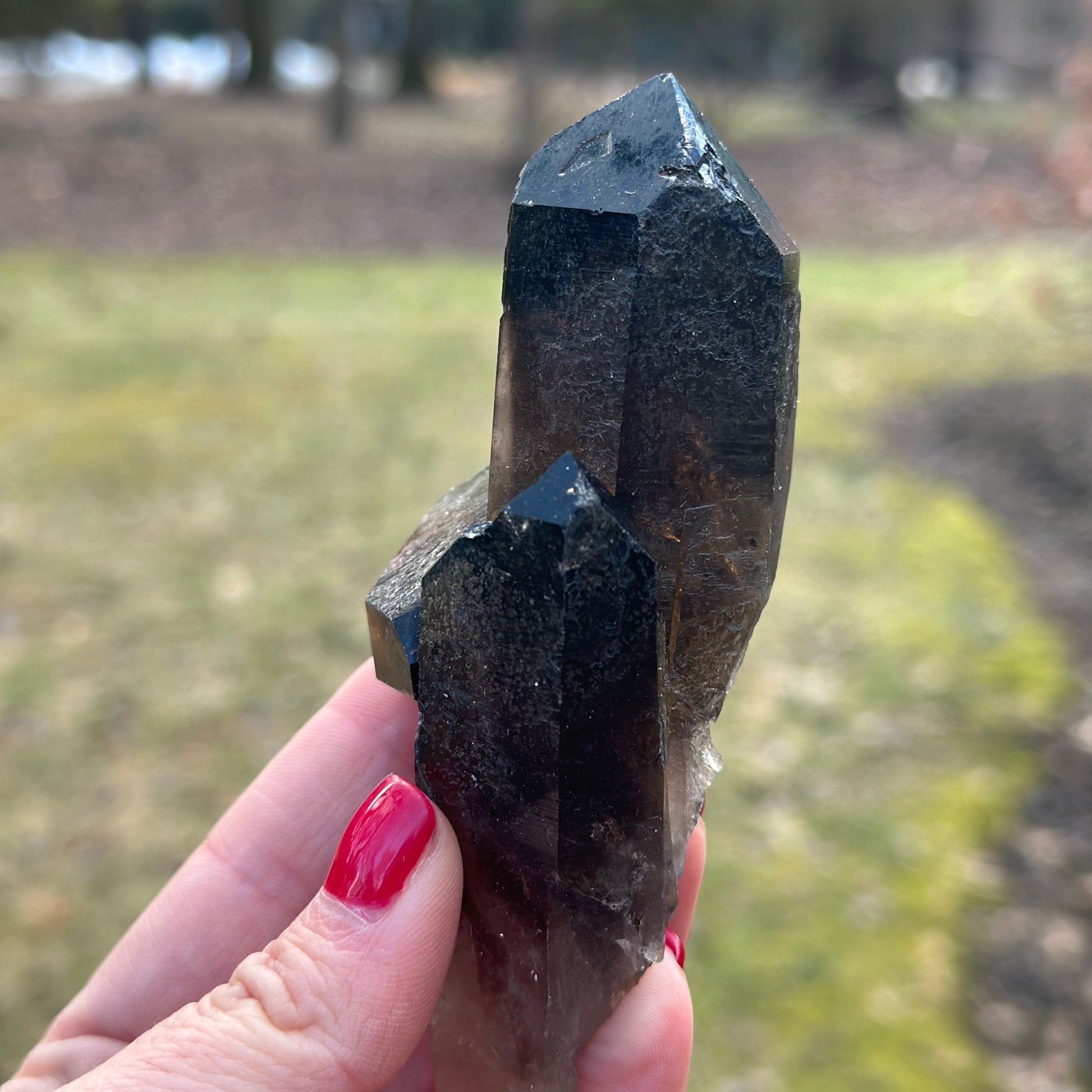 Smoky Quartz Point Cluster