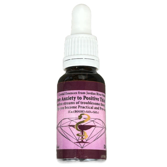 From Anxiety to Positive Thinking Healing Essence by Dr Gila Gavrielov 20ml