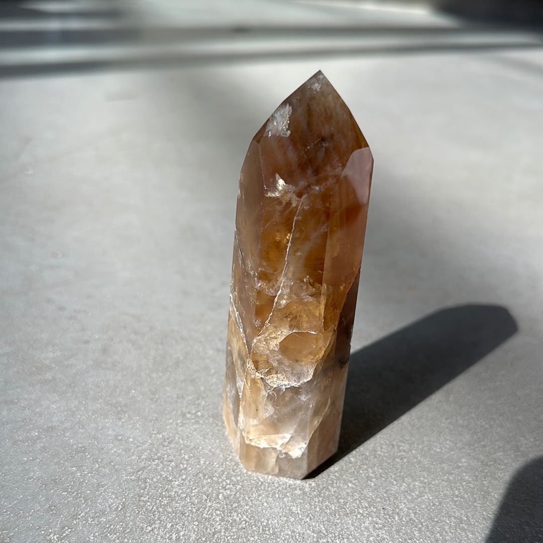 Citrine tower crystal, 10.83 oz, promoting wealth, success, and enhancing intuition in a natural setting.
