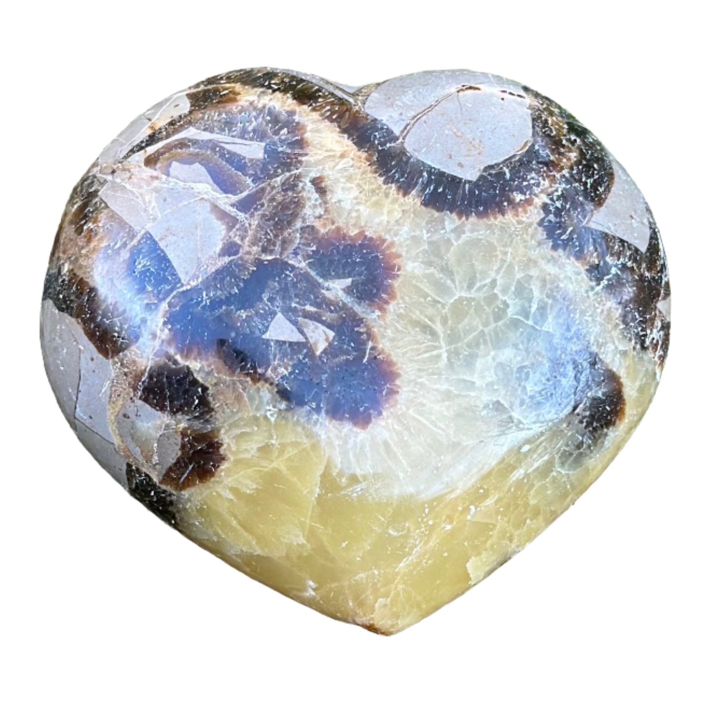 Septarian Heart 238g