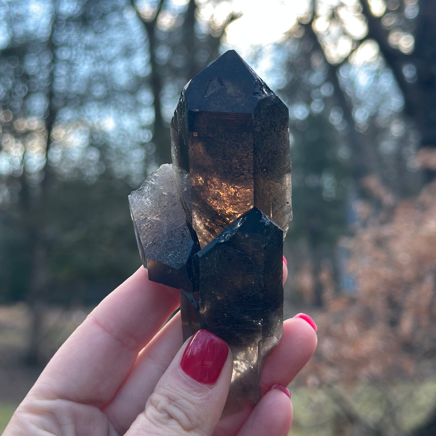 Smoky Quartz Point Cluster
