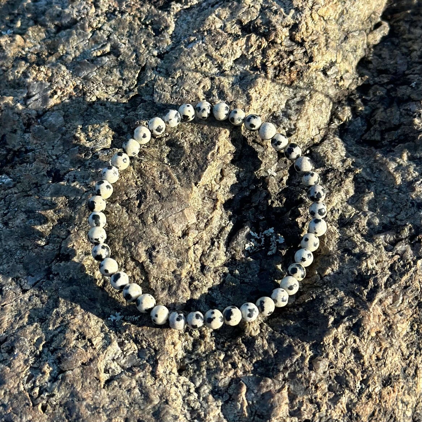 Dalmatian Jasper Bracelet 4 mm