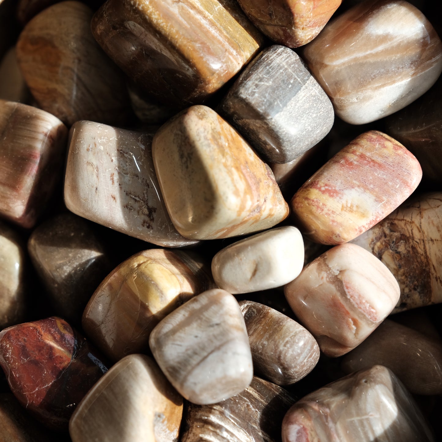 Polished 20-30MM petrified wood tumbled stones, showcasing earthy tones and natural textures, ideal for transformation and comfort.