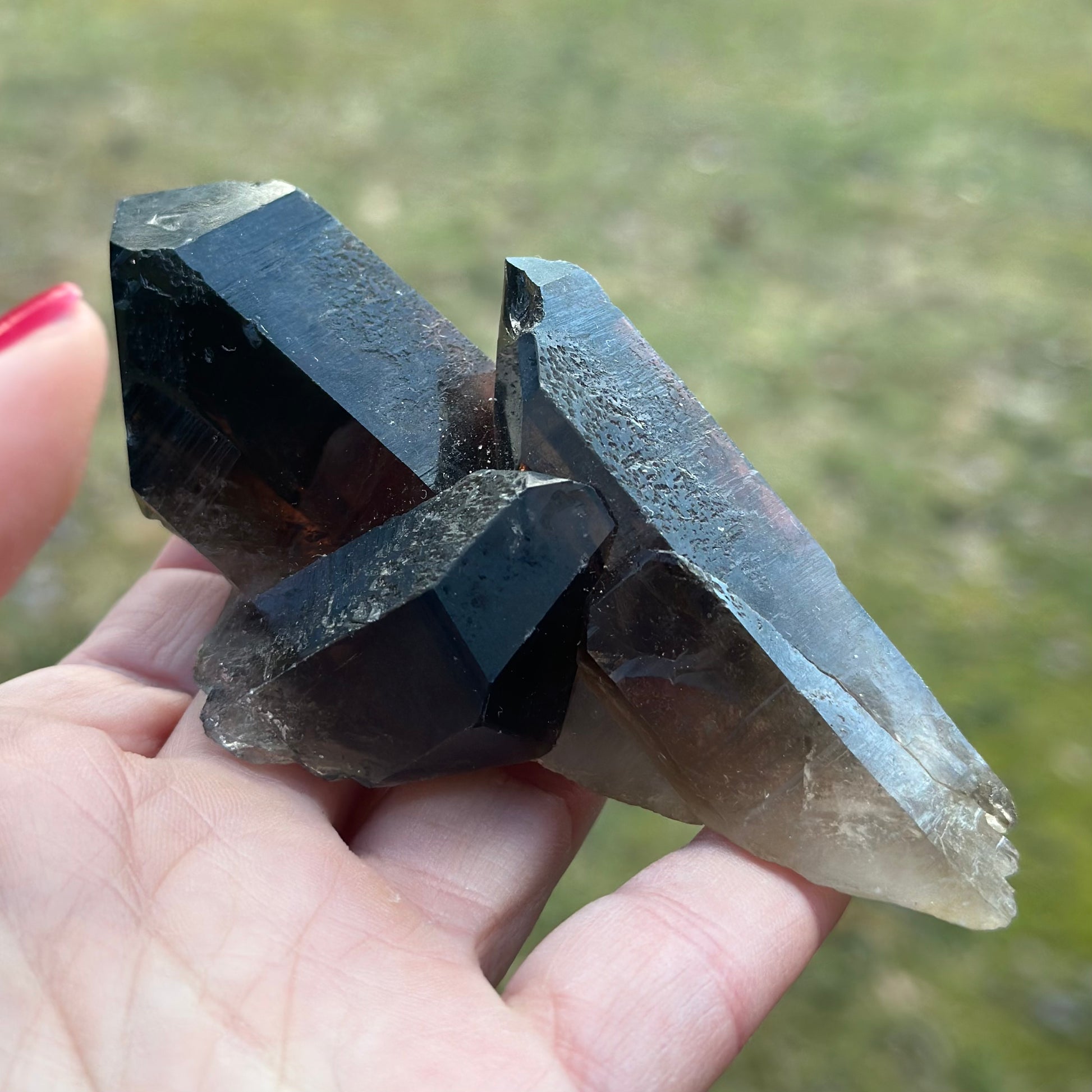 Smoky Quartz Point Cluster