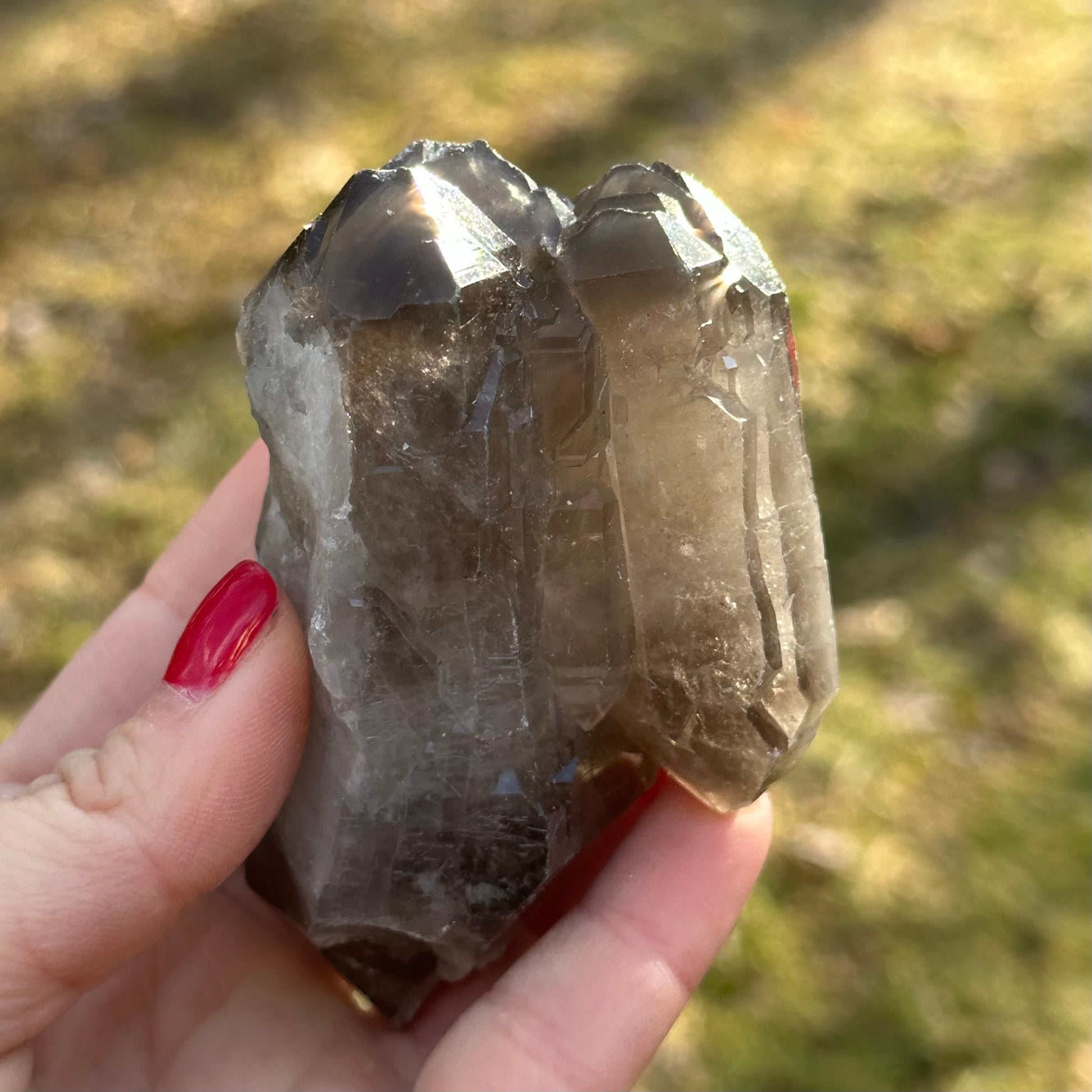 Smoky Quartz Point Cluster